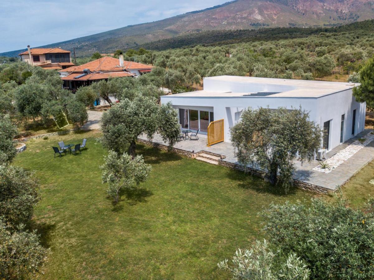 Avgoustidis Apartments Limenaria  Esterno foto